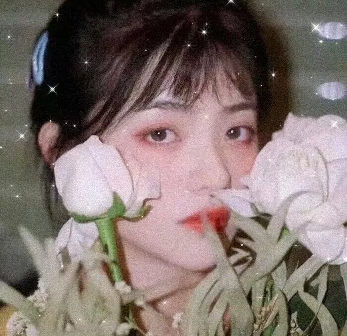 雪国少女心